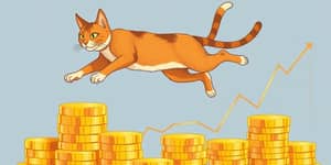 O Pulo do Gato Financeiro: Estratégias Inovadoras